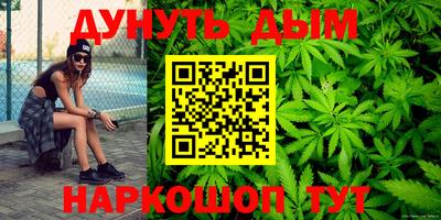 сатива Можайск