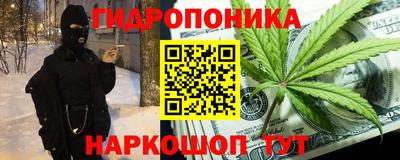 соль ск Можга