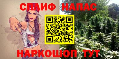 МДПВ Моздок