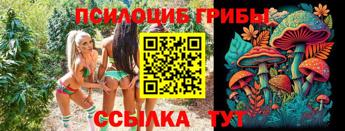 Ачинск  Псилоцибиновые грибы ЛСД  Вход с VPN 