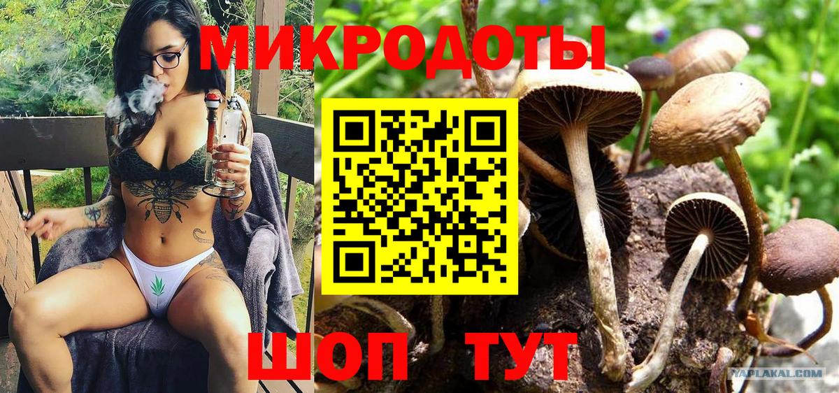 Псилоцибиновые грибы Cubensis Ачинск